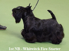 1st NB - Whitwitch Fire Starter1