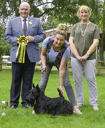 BOS - Filisite Brash Rare Treasure At Lochgems