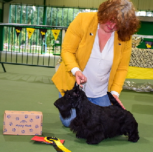 PD - Divadell Mighty Quinn