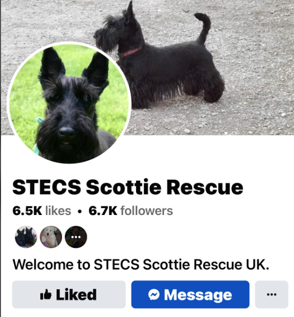 STECS