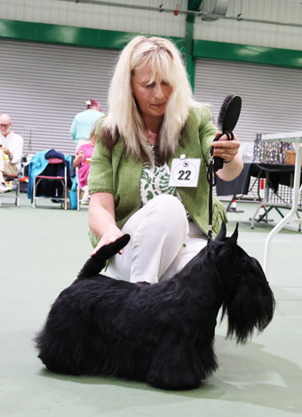 Class 9  Dog CC _1
